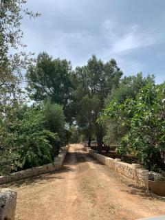 Il Trullo di Francesca - Ceglie Messapica - 9