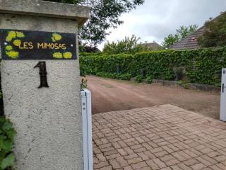 Les Mimosas - Saint-Vigor-le-Grand - 2