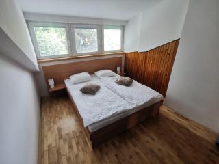 Apartment LakeBled with Casle Bled view - Bled - 7
