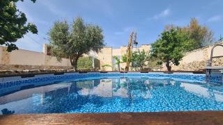 Musa Balbisiana Casa Olea - 8