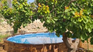 Musa Balbisiana Casa Olea - Brindisi - 6
