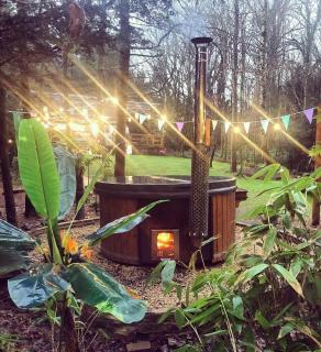 Airstream Woodland Escape - Galston - 8