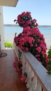 Apartmani Mirko LJubač - Ražanac - 5