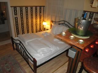 Hotel-Pensiunea Zefir - Timişoara - 9