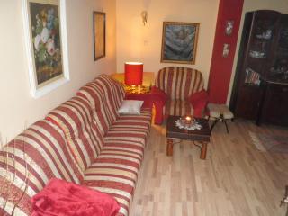 Hotel-Pensiunea Zefir - Timişoara - 6