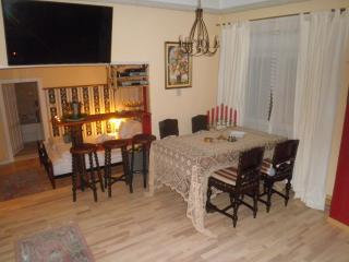 Hotel-Pensiunea Zefir - Timişoara - 5