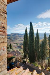 Terre di Baccio - Greve in Chianti - 3
