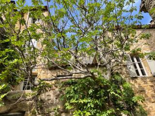 Le Petit Egregore, patio et climatisation - Lauris - 0