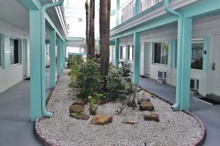 Pass-A-Grill 3 - St Pete Beach - 3