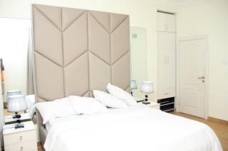 Harold's Exquisite Apartment - Lagos - 3