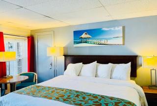 Wells Moody Motel - Wells - 7