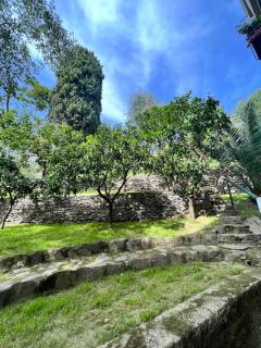 Blue Garden - Rapallo - 5
