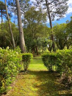 Appartement du Golf Les Bastides piscine et océan - Moliets-et-Maa - 1