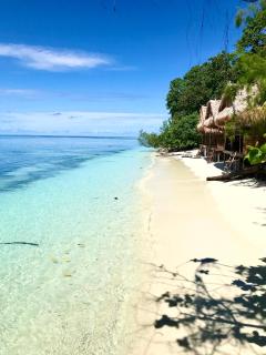 TABARI DIVE LODGE - Pulau Mansuar - 1