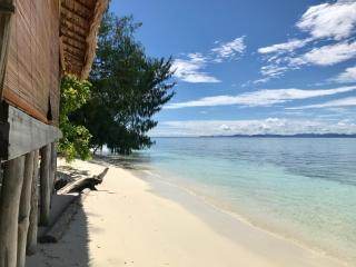 TABARI DIVE LODGE - Pulau Mansuar - 3