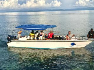 TABARI DIVE LODGE - Pulau Mansuar - 8