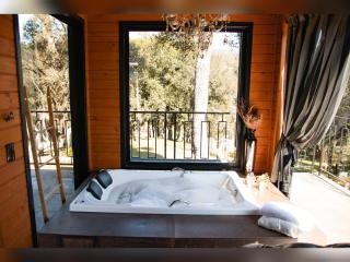 CABANA HORSES LA CONTEMPORANEA- vista ponto turístico Pedra Morro do Campestre -Asfalto até a Cabana - 6