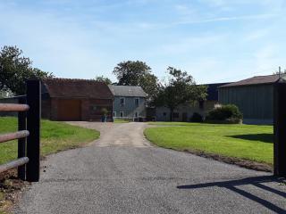 Gîte rénové à la ferme, 4 chambres, jardin clos, WiFi, parking, animaux, activités nature à proximité - FR-1-497-27 - Champosoult - 5