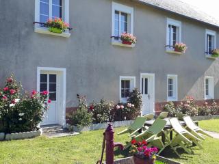 Gîte rénové à la ferme, 4 chambres, jardin clos, WiFi, parking, animaux, activités nature à proximité - FR-1-497-27 - Champosoult - 4