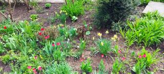 Аренда квартиры или комнат в квартире - 5