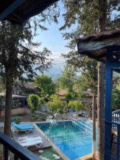 Olympos Route 66 Pansiyon - Olympos - 9