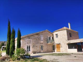 Superbe Mas en pierres de 350 m2 avec piscine pool house wifi parking gratuits - Rochefort-du-Gard - 9