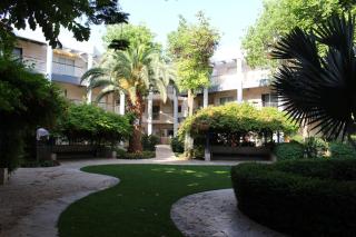 Green garden suite at Royal Park Eilat- Amazing Pool - 2