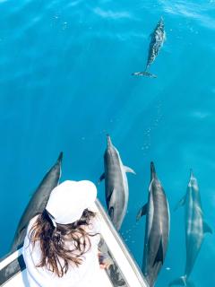 Araamu Hotels Maldives at Dhiffushi - Dhiffushi - 4