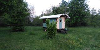 Shepherd's hut in nature - Vojnić - 5