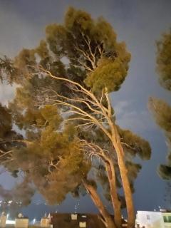 Port Bandol T3 calme Parking privé vue mer - 4