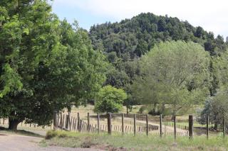 Tui Ridge Cottage - Waiterimu - 7