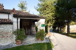 Riserva Privata San Settimio - Arcevia - 8