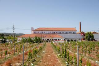 Hotel da Barrosinha - Alcácer do Sal - 8