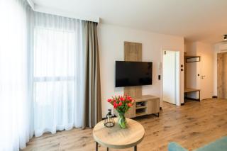 Apartamenty Pod Szyndzielnią blisko kolejki i Hali Pod Dębowcem - Dream Apart - Bielsko-Biala - 6