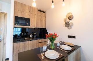 Apartamenty Pod Szyndzielnią blisko kolejki i Hali Pod Dębowcem - Dream Apart - Bielsko-Biala - 1