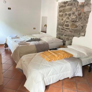 In Castello - Gallicano - 5