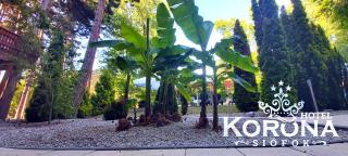 Hotel Korona - 3