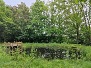 Kwadijkerbos - Kwadijk - 4