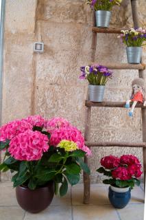 Il Saraceno Apartment - Giovinazzo - 6