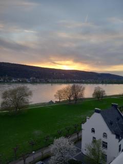 Rheinapartment 8 - Bad Hönningen - 7