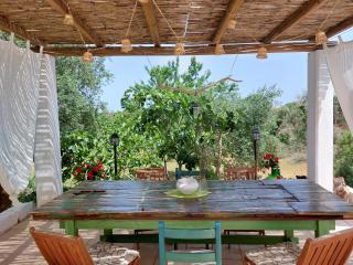 Physis b&b-a casa di Clio - Ceglie Messapica - 6