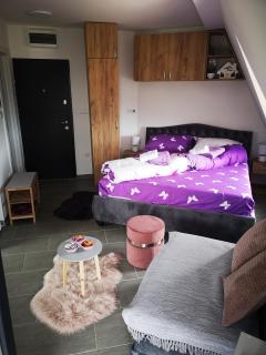 Apartman Sofija Divcibare - 4