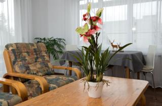 Central flat Crapera-Lenzerheide - Lenzerheide - 6