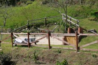Casa Campu 2 - Pandavenes - 4