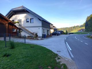 Apartmaji Tisa in Žana - Rovte - 4