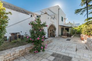 Masseria Il Roseto ai Cappuccini - Martina Franca - 9