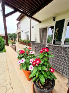 Nobless Villa - 2