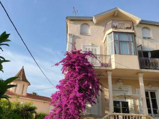 3 rooms, 2 bathrooms, in a villa. Lightfull, quiet and charm - Cannes - 5