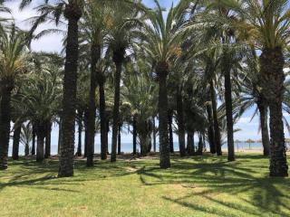 CARIHUELA BEACH - Torremolinos - 9