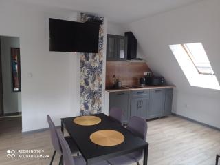 Apartamenty Brzozowe Zacisze - Duszniki Zdrój - 4